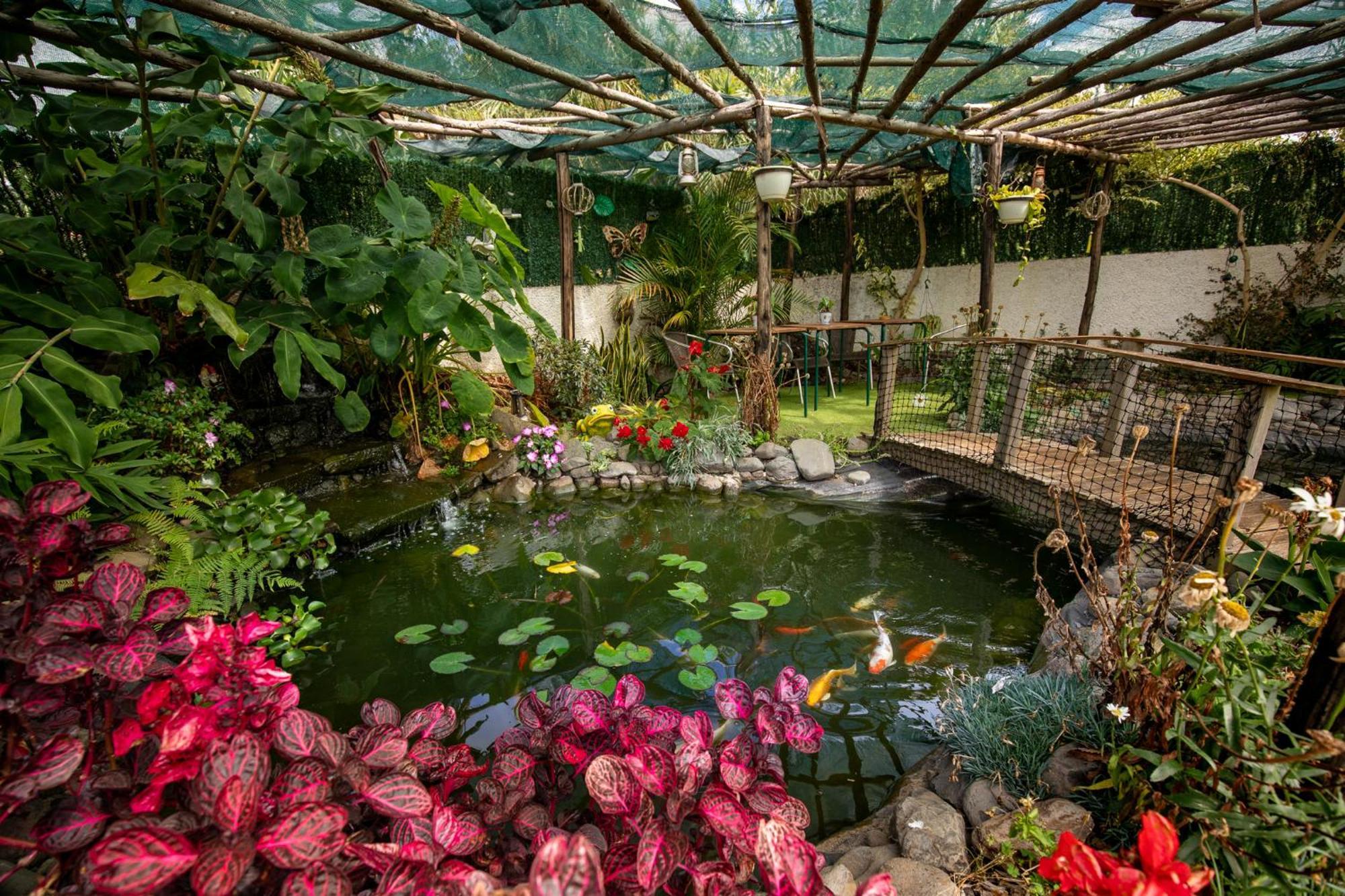 Levada House Prazeres 빌라 외부 사진